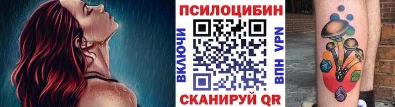 Галлюциногенные грибы прущие грибы  Купить закладки  Богородск 